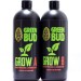 GREEN BUD GROW A+B