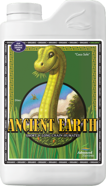 AN Ancient Earth Organic